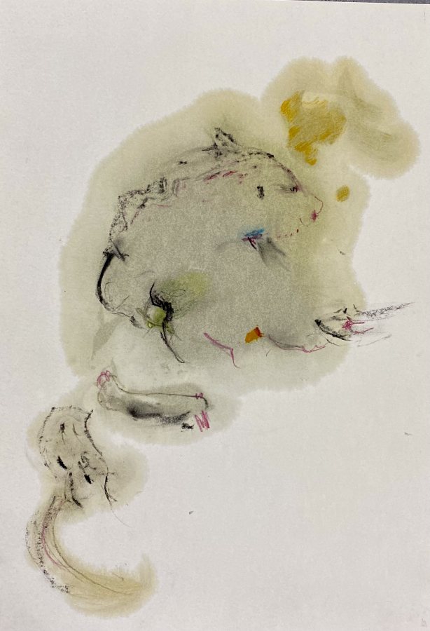 Blick zurück, 2024, 40 x 30 cm (16 x 12 in), Work on paper – Petra Amtsberg Hoffmann