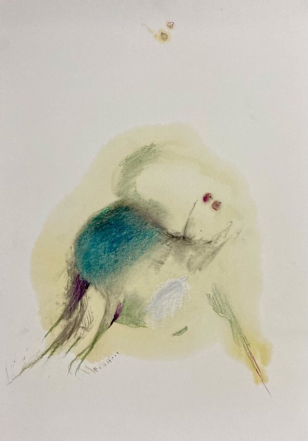 Moosflüsterer, 2024, 40 x 30 cm (16 x 12 in), Work on paper – Petra Amtsberg Hoffmann