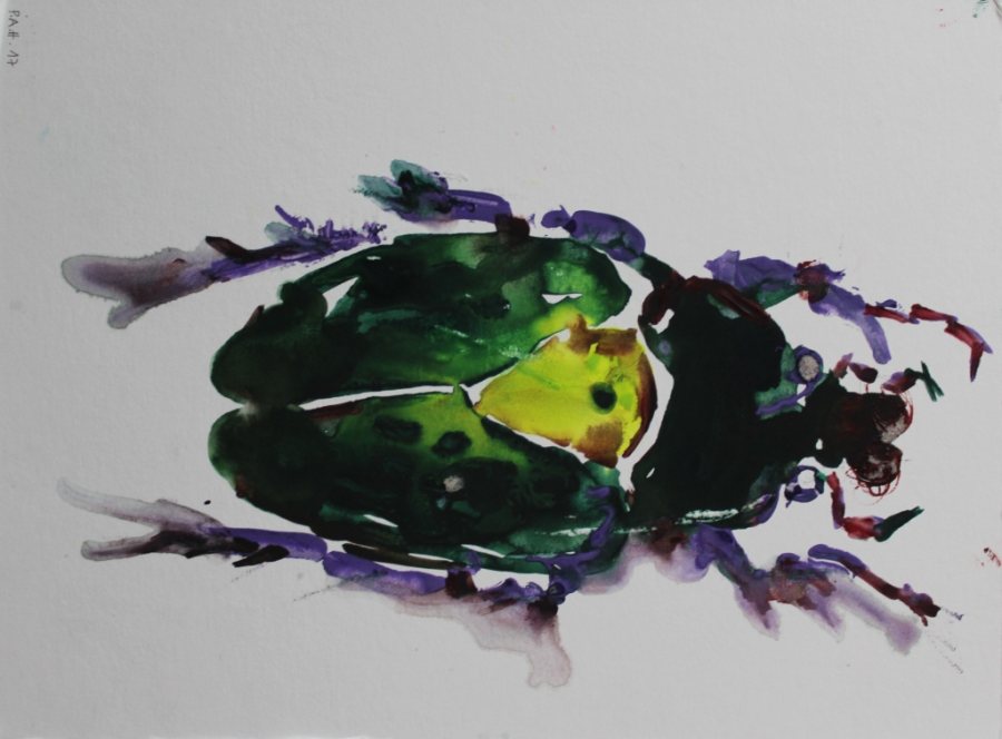Koleoptera 2, 2026, 25 x 30 cm, Aquarell – Petra Amtsberg Hoffmann