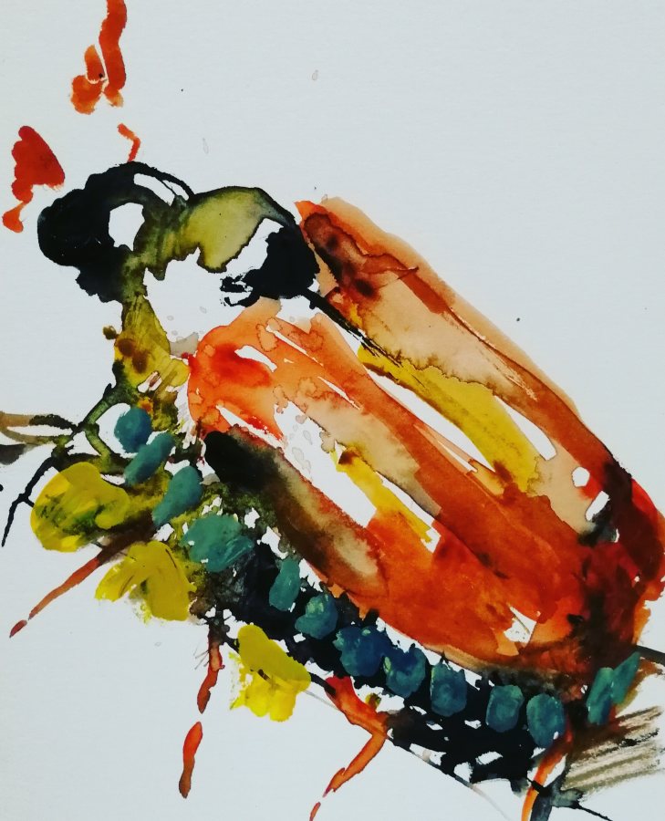 Koleoptera 3, 2016, 18 x 13 cm, Aquarell – Petra Amtsberg Hoffmann